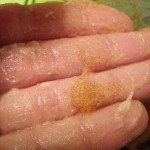 Almond Facial Scrub - Exfoliating Face Wash