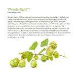 Kojic Acid Alpha Arbutin Brightening Serum Kojic Acid Alpha Arbutin Brightening Serum