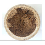 Organic Coffee Scrub with Cocoa and Sea Salt Organic Coffee Scrub with Cocoa and Sea Salt