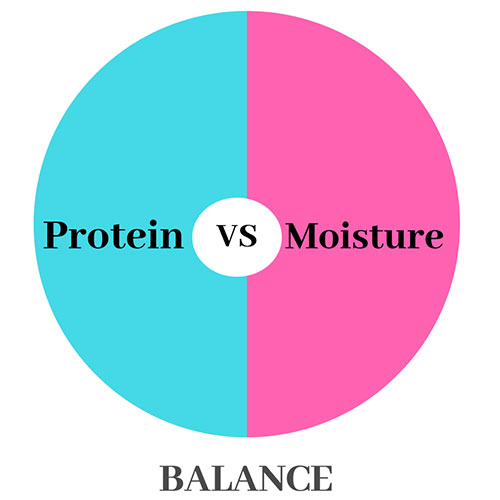 Does Curly Hair Need Protein or Moisture?